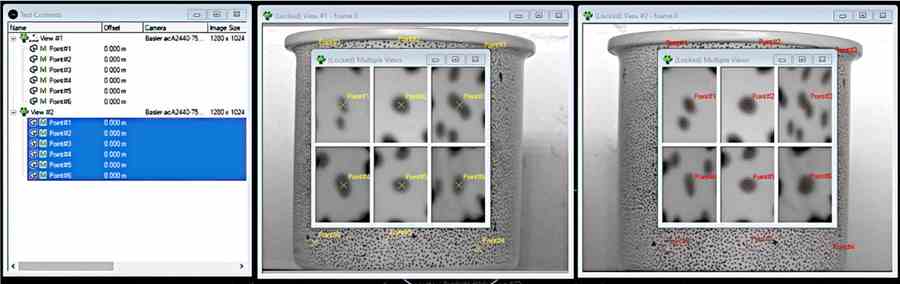 Screenshot from TEMA Stereo DIC showing magnified view of control point.