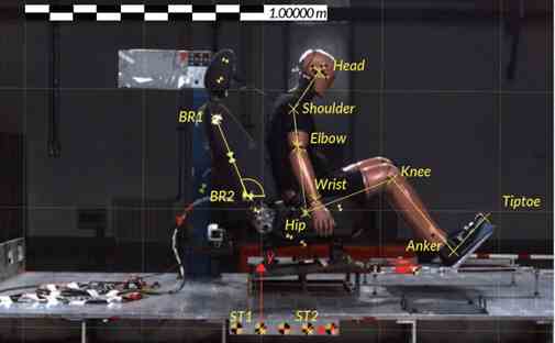 Tema Classic Motion Analysis Software